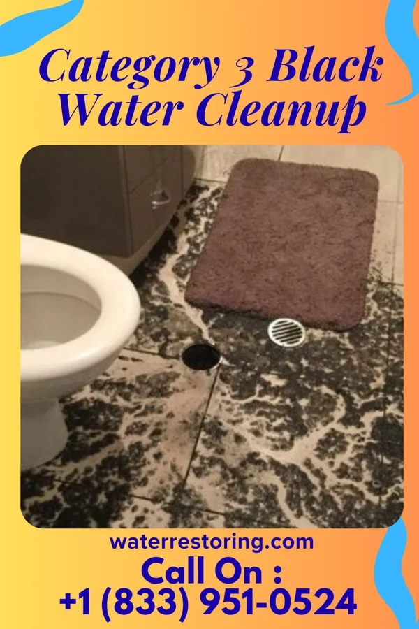 Category 3 Black Water Cleanup in Havana, TX