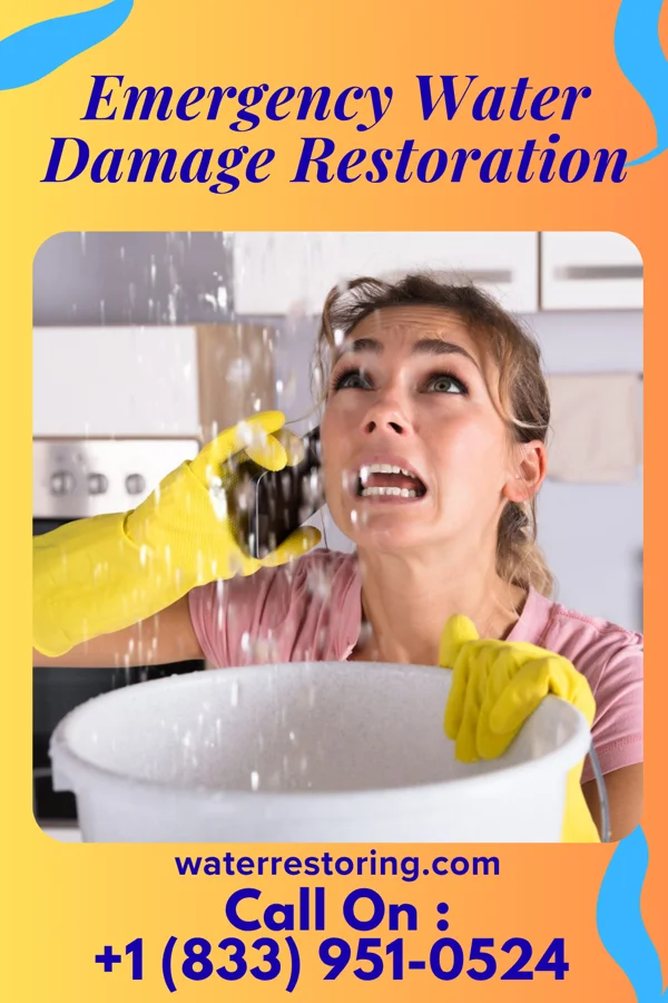 Emergency Water Damage Restoration in Havana, TX