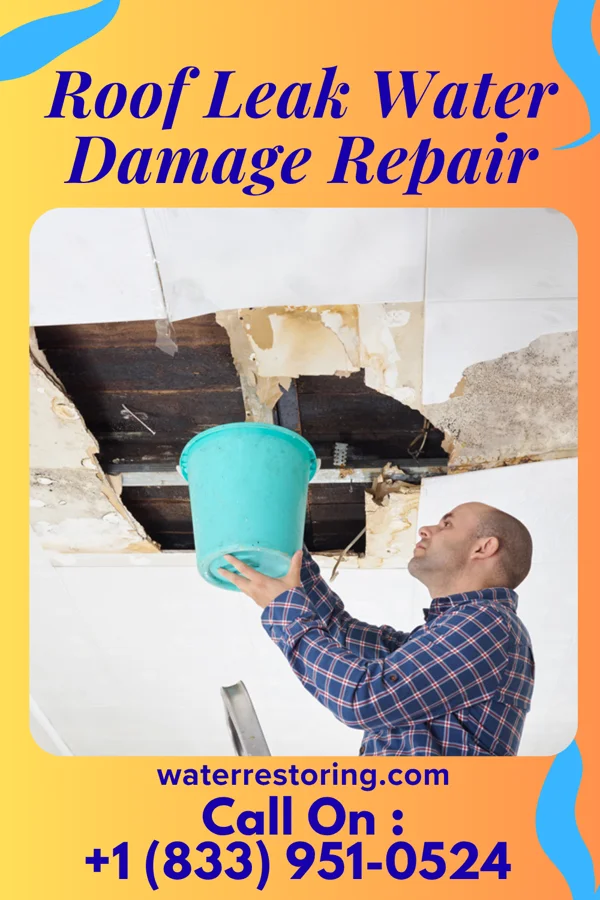 Roof Leak Water Damage Repair in Havana, TX